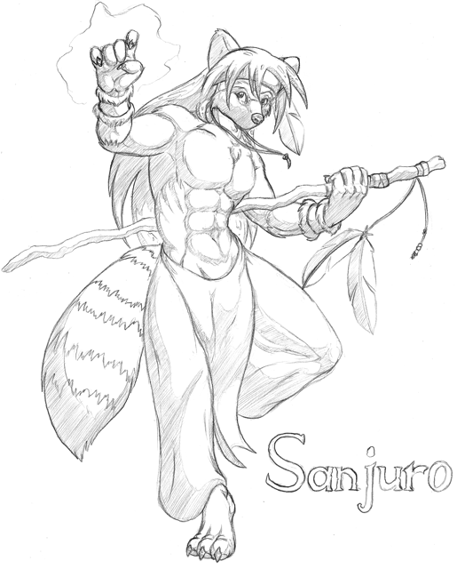 SanjuroDruid