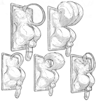 PanelToyCollection